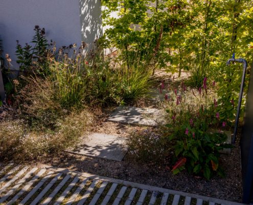 Gartenweg bepflanzt und gepflastert