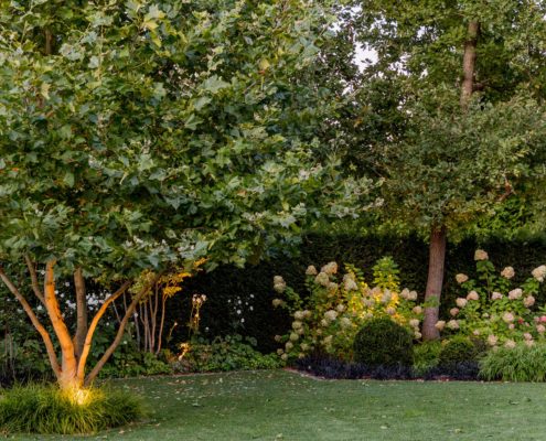 Spotbeleuchtung an einem Baum