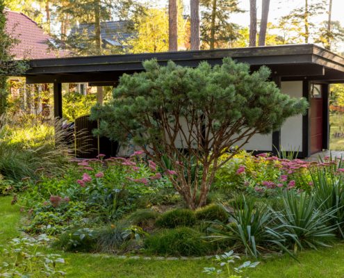 Staudenbepflanzung in einem Waldgarten