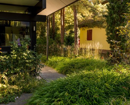 Stauden und Gräser am einem Gartenweg