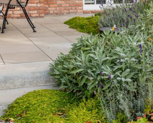 Hausterrasse und Bepflanzung Hausterrasse und Bepflanzung