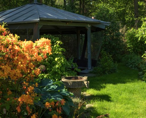 Azaleen und Rhododendren im Feng-Shui Garten