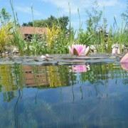 BIOTOP Schwimmteiche -Gartenteich