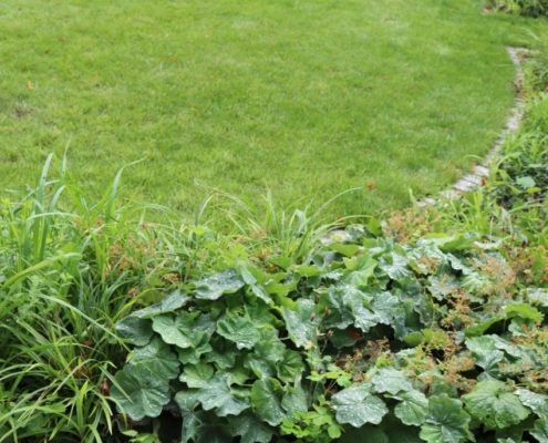 klare Trennung von Rasen und Beet klare Trennung von Rasen und Beet