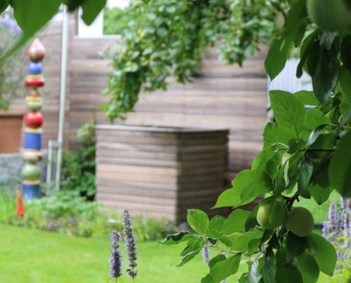 Komposter im Garten Komposter im Garten, Knöterich Pflanze im Vordergrund