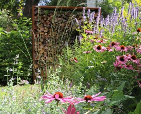 Bepflanzung und Sichtschutz Bepflanzung und Sichtschutz im Hausgarten