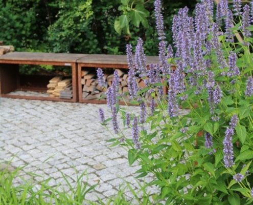 Kleiner Sitzplatz im rückwärtigen Hausgarte Kleiner Sitzplatz mit Brennholz. Pflanze im Vordergrund
