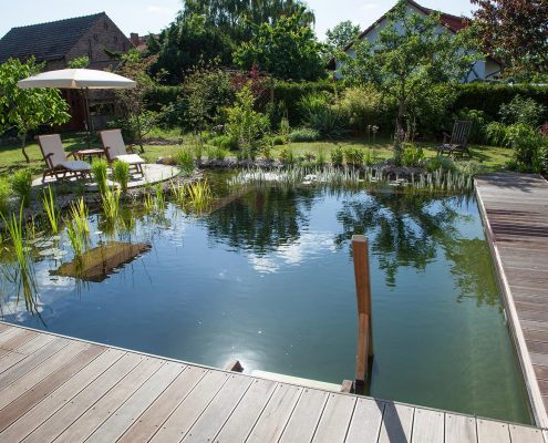 Schwimmteich im Garten