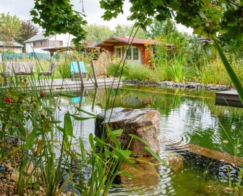 Sprudelstein Regenerationbereich des Schwimmteiches