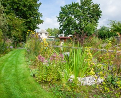 Stauden am Schwimmteich, Rasenfläche