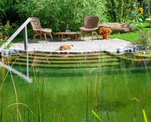 Natursteintreppe an einem Schwimmteich