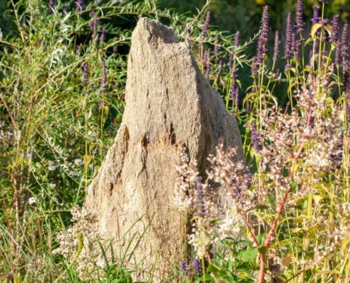 Einer der Findlingen am Ufer Einer der Findlingen am Ufer