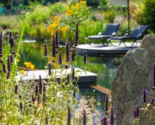 Duftnessel und Sonnenhut Duftnessel und Sonnenhut