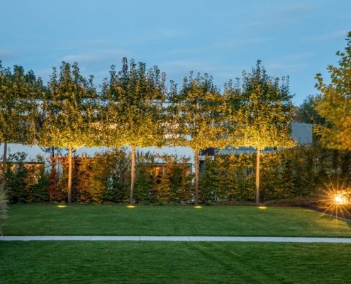 Effektbelecuhtung der Spalierbäume am Abend Abendbild: beleuchtete Spalierbäume