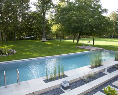 Natürlich gereinigtes Wasser im Biotop Living Pool