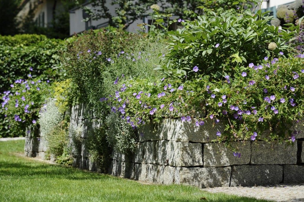 Vielfältiger Garten in Potsdam › Potsdamer Gärten Gärten