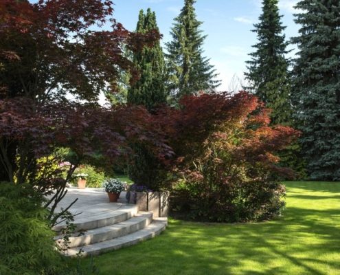 Ahorn und Bäume um eine Natursteinterrasse Ahorn und Bäume um eine Natursteinterrasse