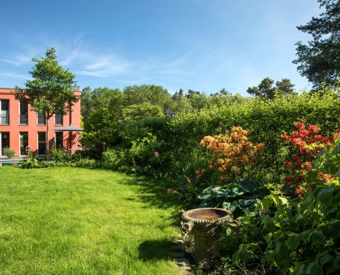 Riesen-Zierlauch, Azaleen und Rhododendren im Feng-Shui Garten