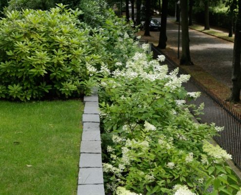 Üppige Staudenbepflanzung im Garten Üppige Staudenbepflanzung im Garten