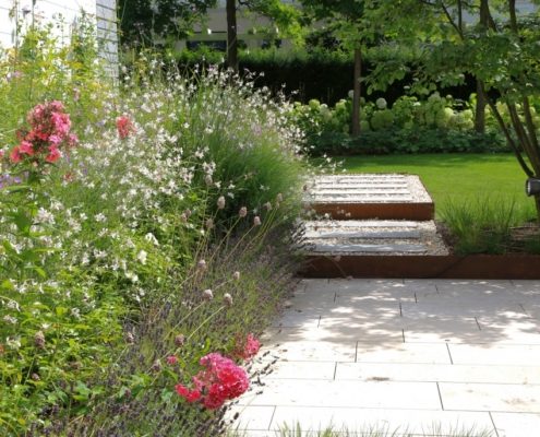 ausgesuchte Gräserbepflanzungen im Stadtgarten ausgesuchte Gräserbepflanzungen im Stadtgarten