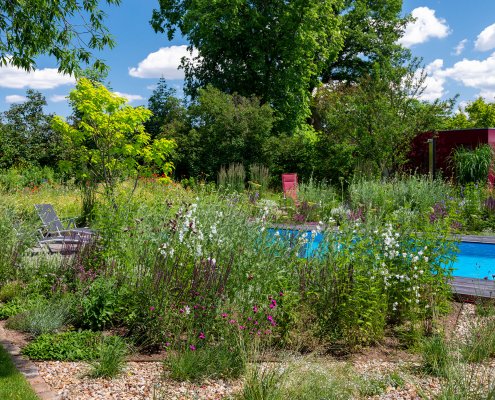 Pflanzung im naturnahen Garten