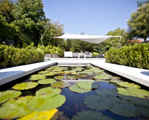 Biotop Living Pool mit Wasserrosen