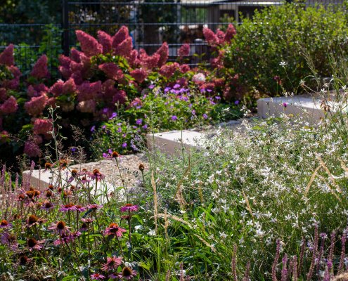 Pflanzplanung Gartenplanung