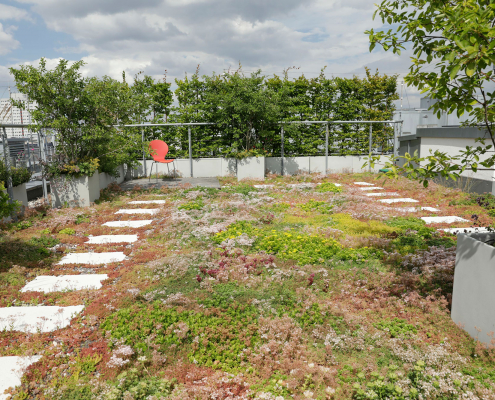 Bepflanzung einer Dachterrasse