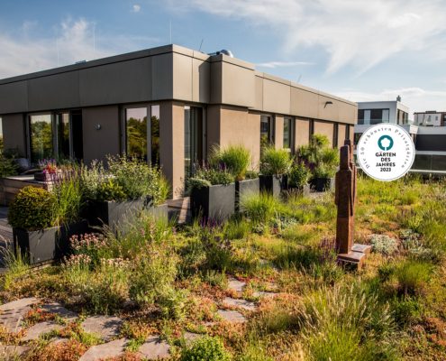 Dachgarten mit Pflanzkübeln