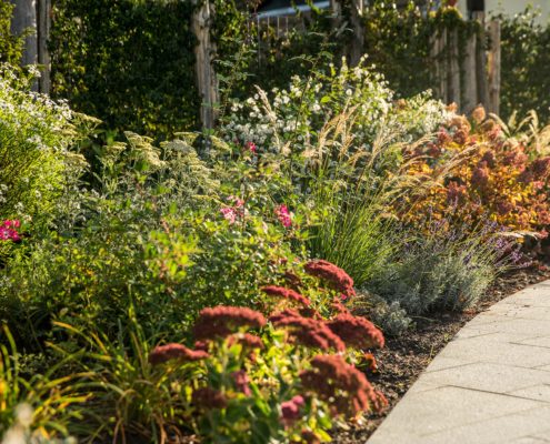 Herbstpflanzen im Garten