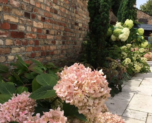 Pflanzplanung Hortensien Garten