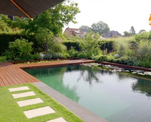 Schwimmteichgarten mit Pflanzzone Schwimmteichgarten mit Pflanzzone, Stauden im Hintergrund