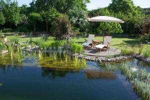 Potsdamer Gartengestaltung, wo grün begeistert - neu-und umgestaltung von privatgärten im raum, Design ideen