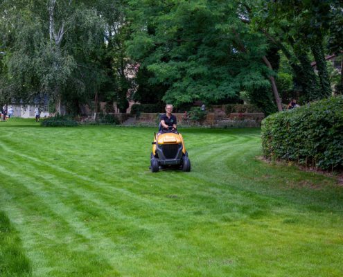 Rasenpflege Rasenpflege mit der großen Rasenmähmaschine