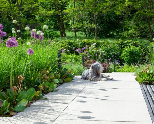 Terrasse im Hausgarten