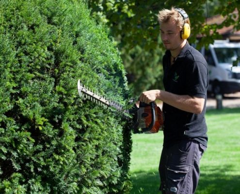 Landschaftsgärtner bei Heckeschneiden