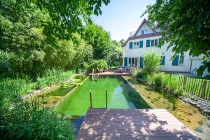 </p>
<h3>SCHWIMM- UND GARTENTEICHE</h3>
<p>