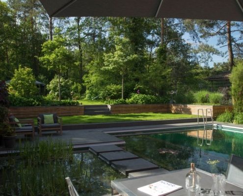 Garten mit einem Teich, Trittsteine über dem Wasser