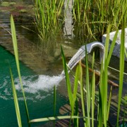 Herbstspflege für den Teich