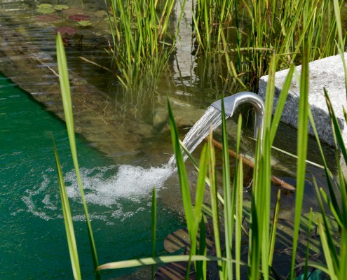 Herbstspflege für den Teich