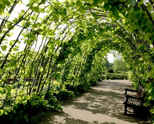 Sonnenschutz durch Pflanzen und Gehölze