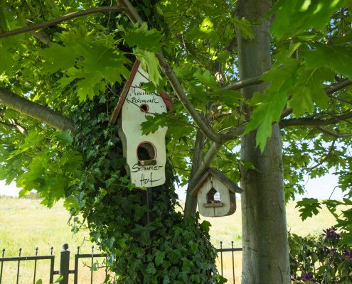 Vogelhaus im Garten